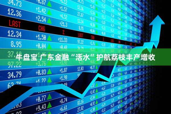 牛盘宝 广东金融“活水”护航荔枝丰产增收