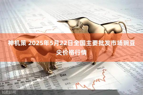 神机策 2025年5月22日全国主要批发市场豌豆尖价格行情