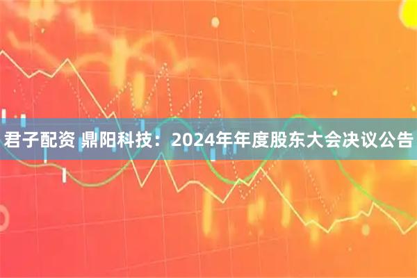 君子配资 鼎阳科技：2024年年度股东大会决议公告