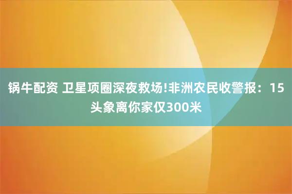 锅牛配资 卫星项圈深夜救场!非洲农民收警报：15头象离你家仅300米