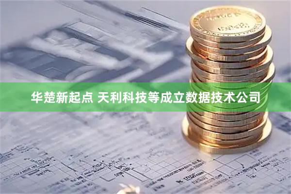 华楚新起点 天利科技等成立数据技术公司